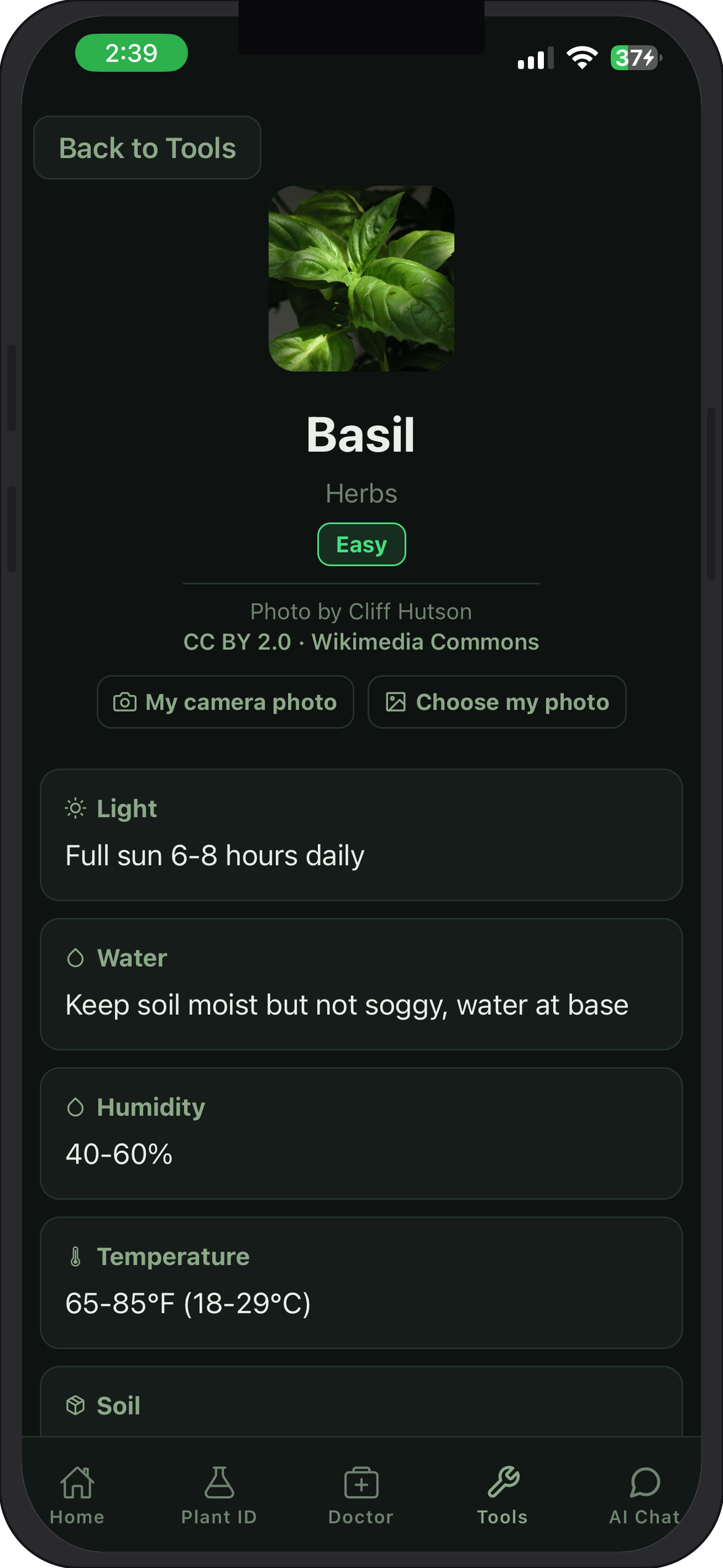 Basil care guide with personal photo controls